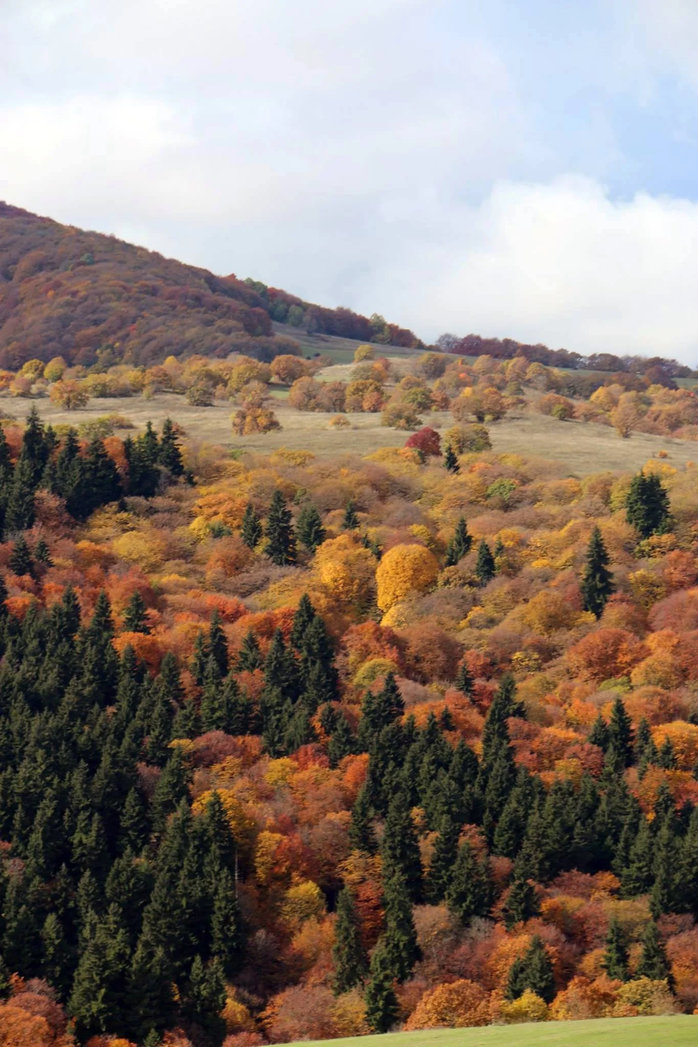 Рача Грузия осень
