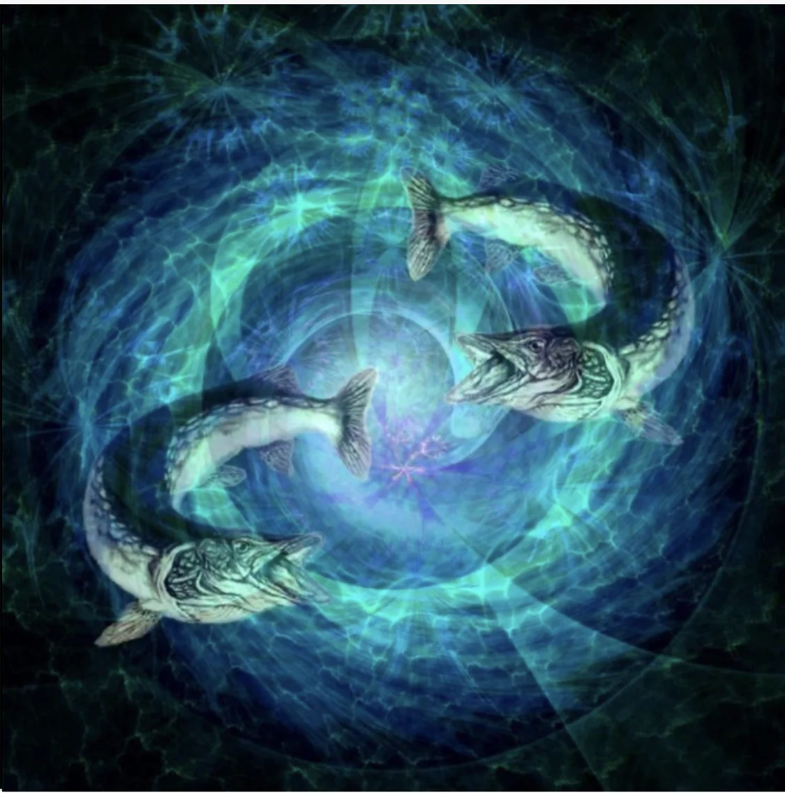 Знак зодиака рыбы Pisces