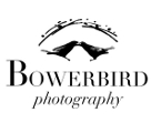 Bowerbird Photography