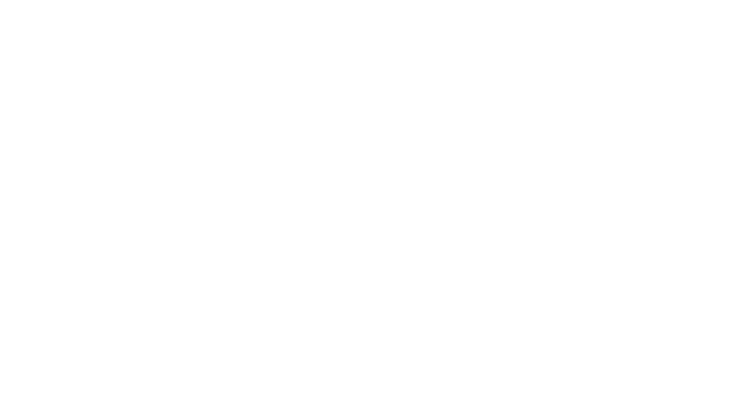 The Traveling Team