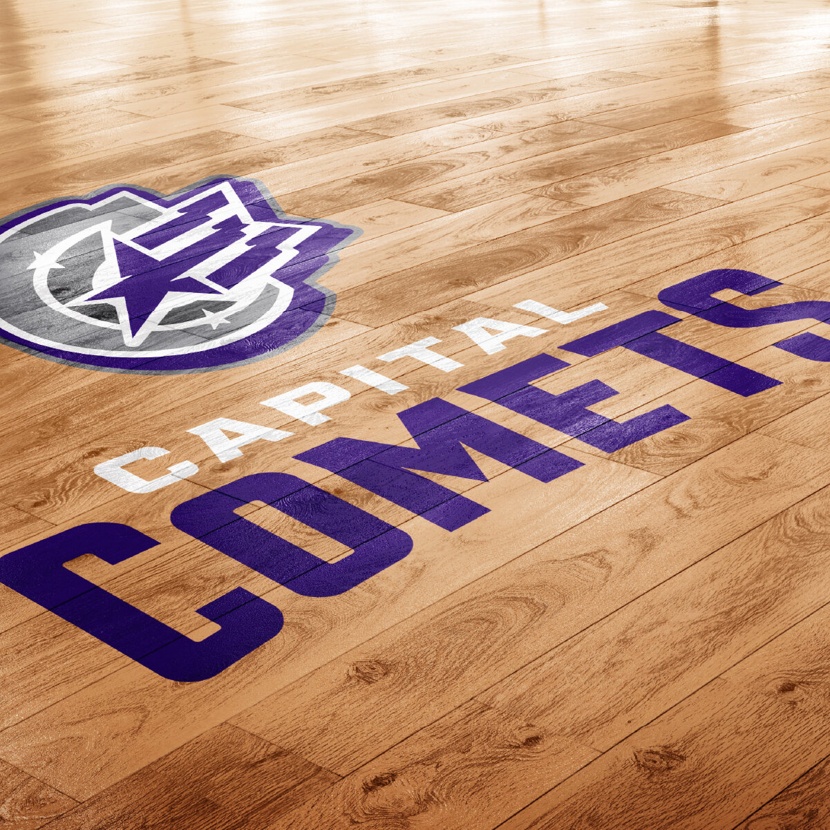Capital comets logo_Instagram copy 5.jpg
