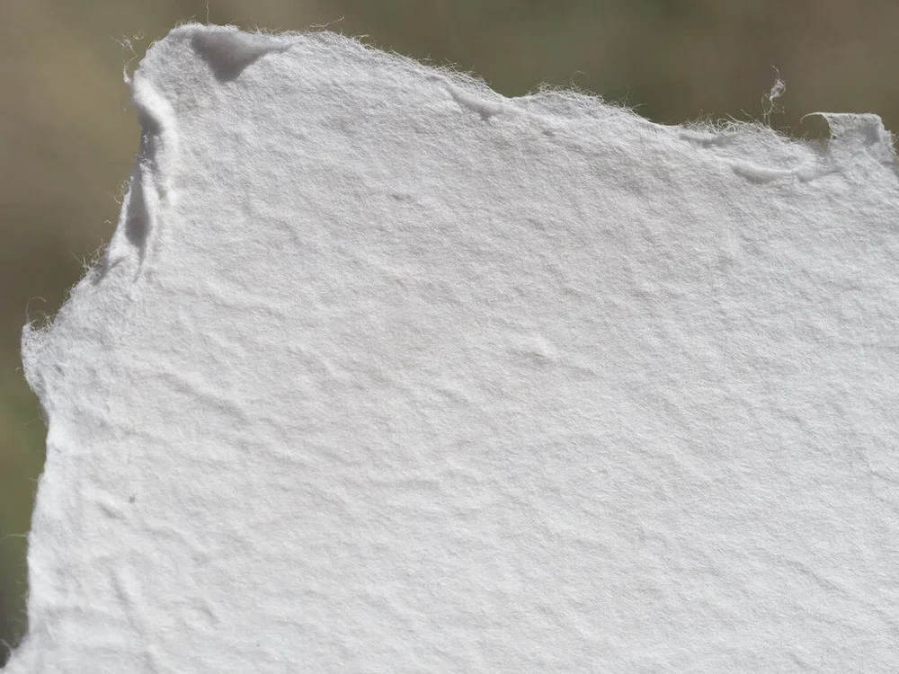 Cotton Linters Closeup.jpg