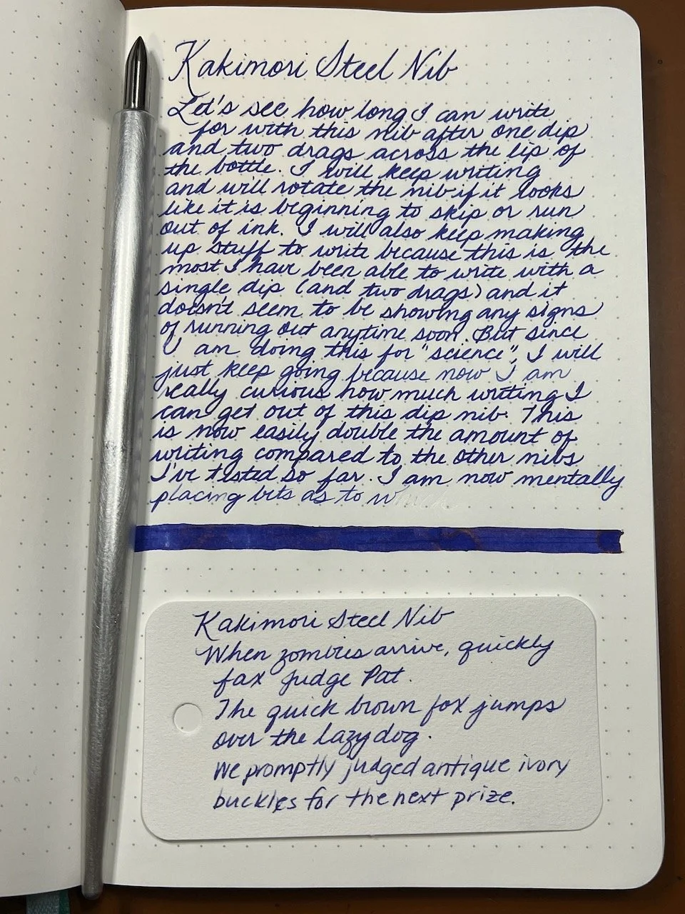 Kakimori Steel Nib