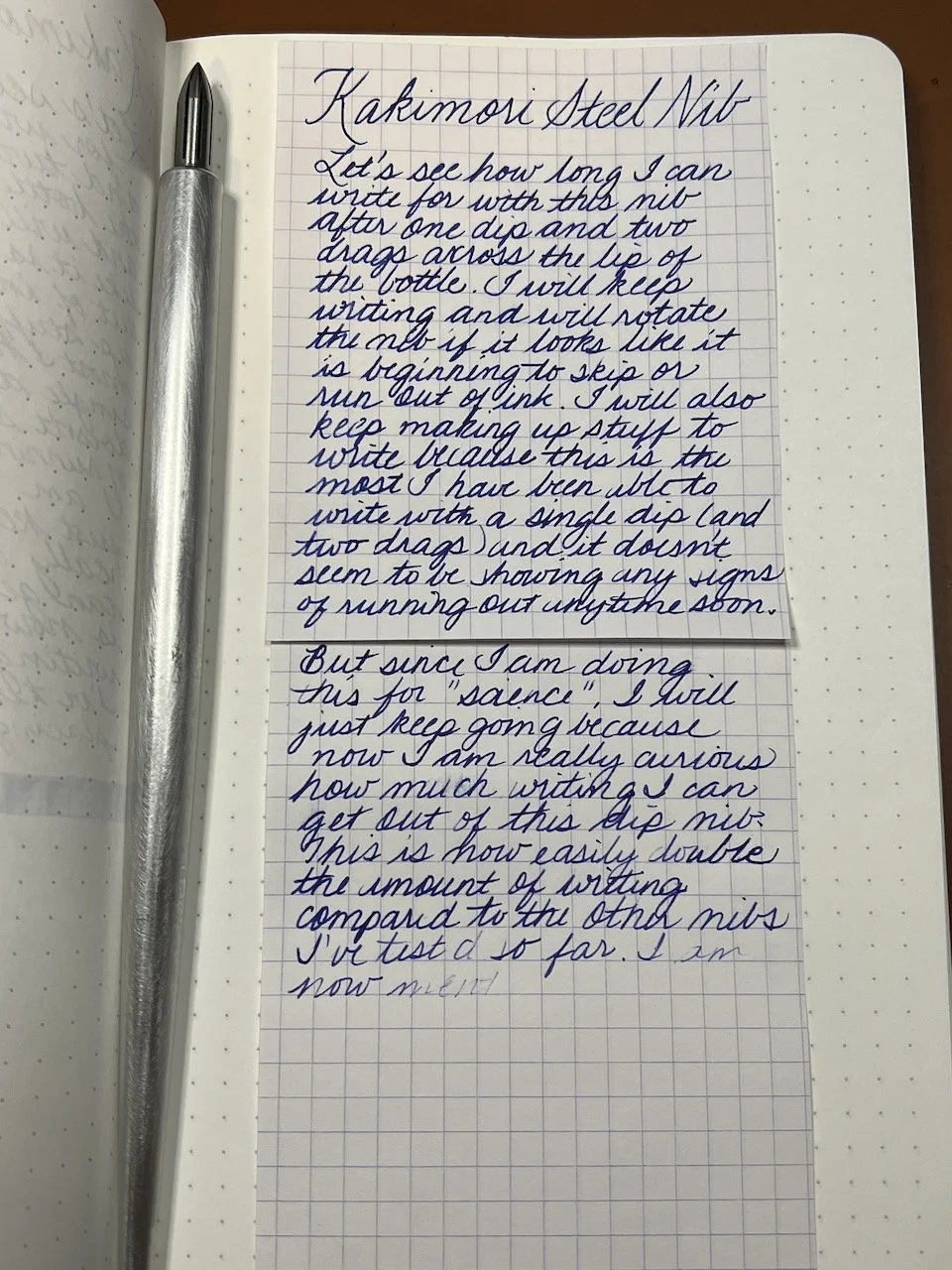Kakimori Steel Nib