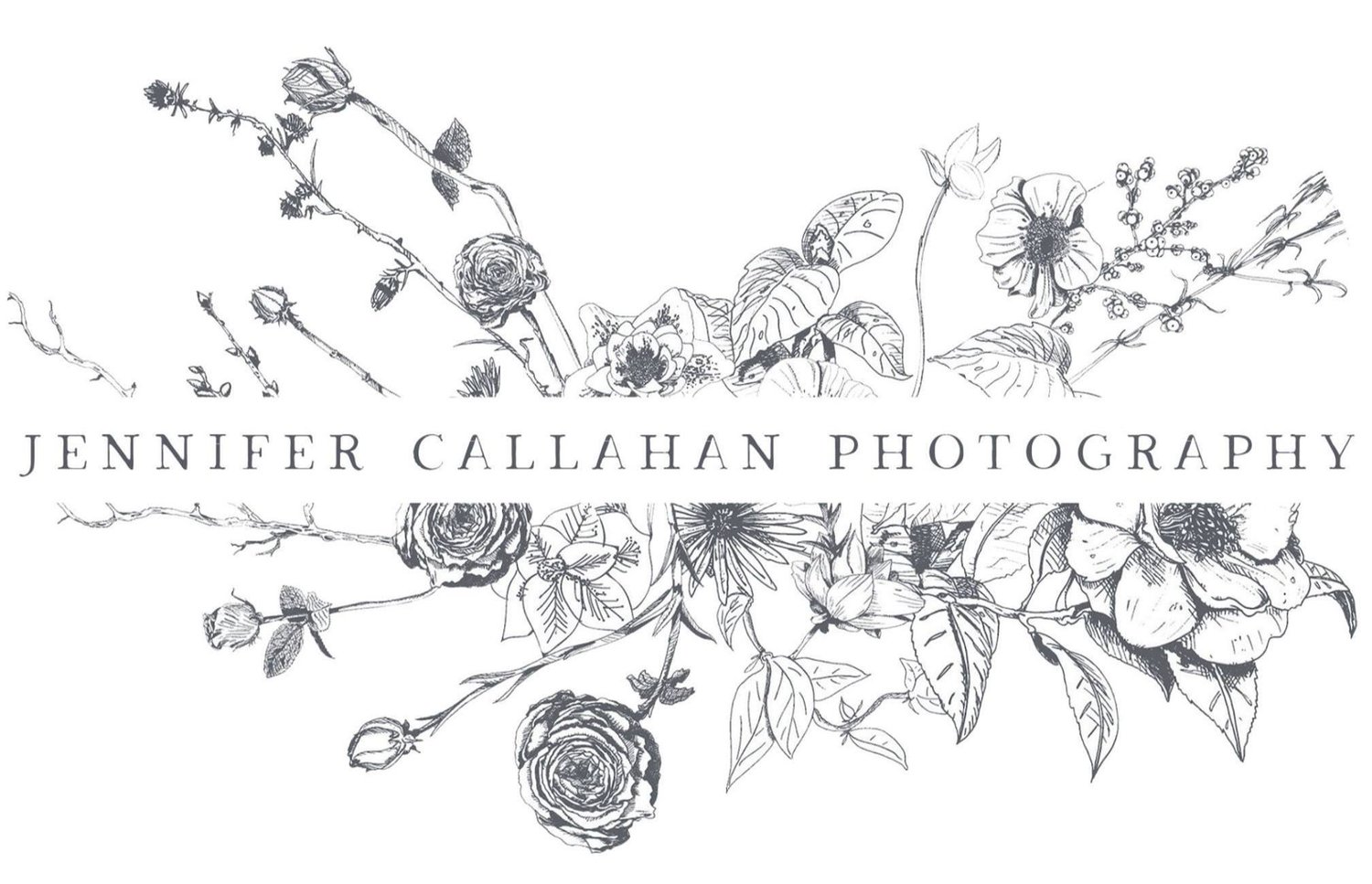 Jennifer Callahan photography 