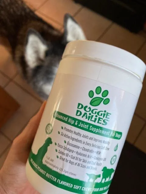 best-supplements-for-senior-dogs.jpg