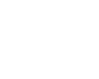 Voces Novae