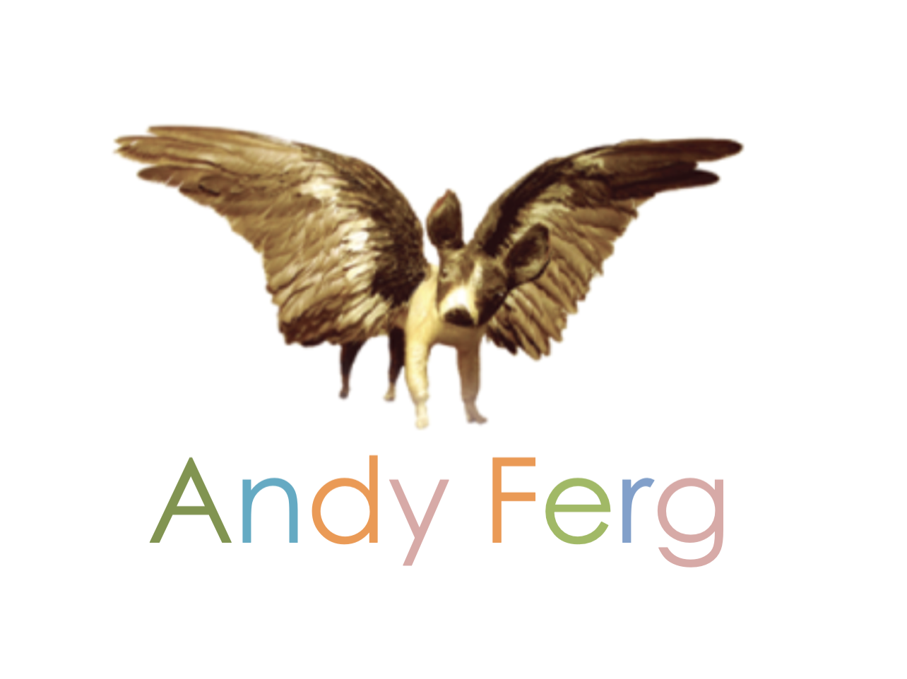 Andy Ferguson