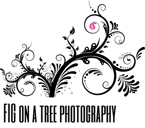 FIG ON A TREE PHOTOGRAPHY