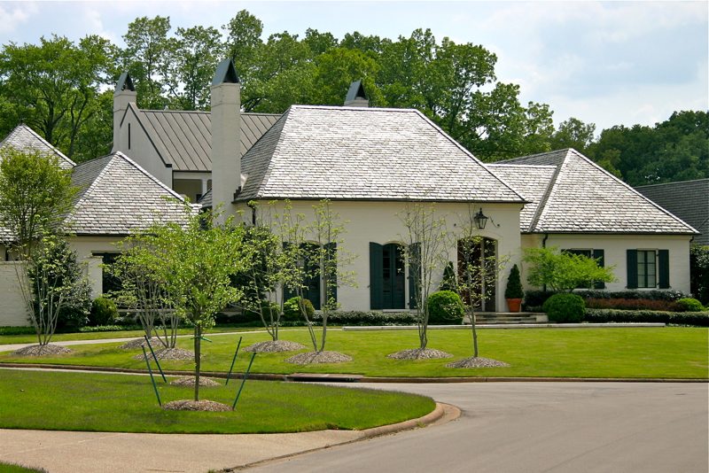 tde-009.jpg