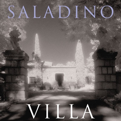 Books-Saladino-Decorating.jpg