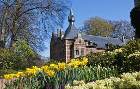 images.jpg.daffodilsbelgium.jpg
