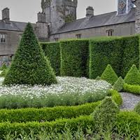 index.jpgtopiary.jpg