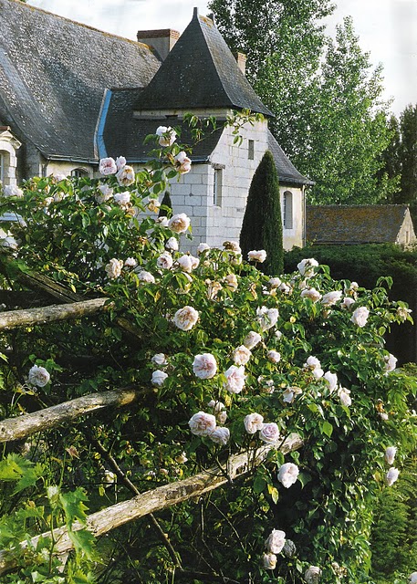 CoteOuest05roseslinenandlavenderblogspot.jpg