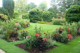 images.jpg.rosegarden.jpg