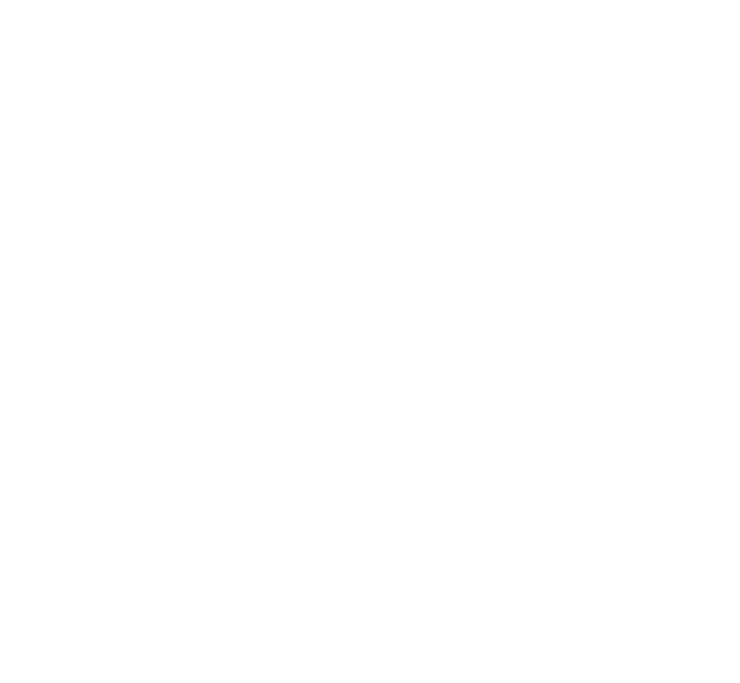 TALK LIKE TIGERS