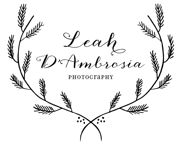 LEAH D'AMBROSIA PHOTOGRAPHY