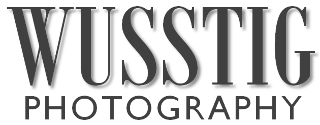 Wusstig Photography - Portrait Photography covering Central Phoenix & East Valley (Chandler, Gilbert, Tempe, Scottsdale)