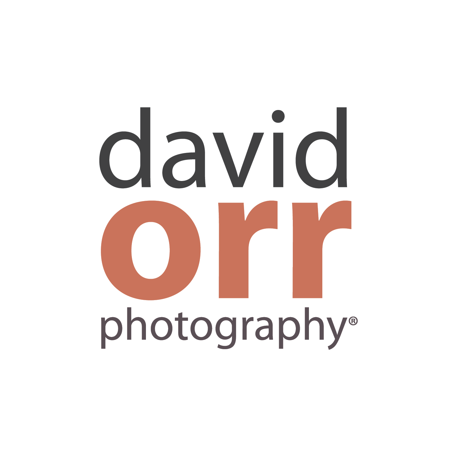 Phoenix Wedding Photographers David Orr Photography