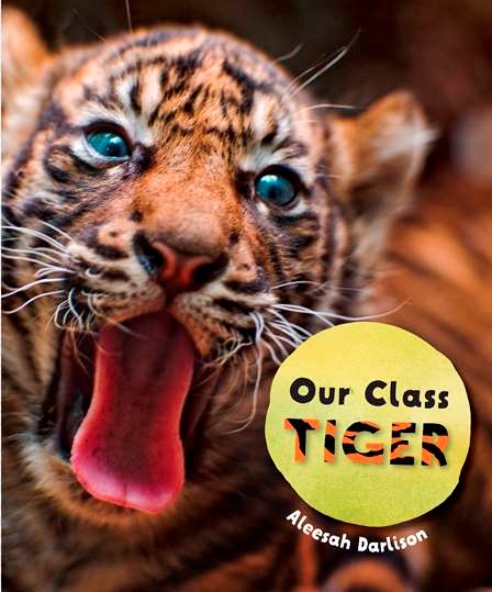 我们班的Tiger.jpg
