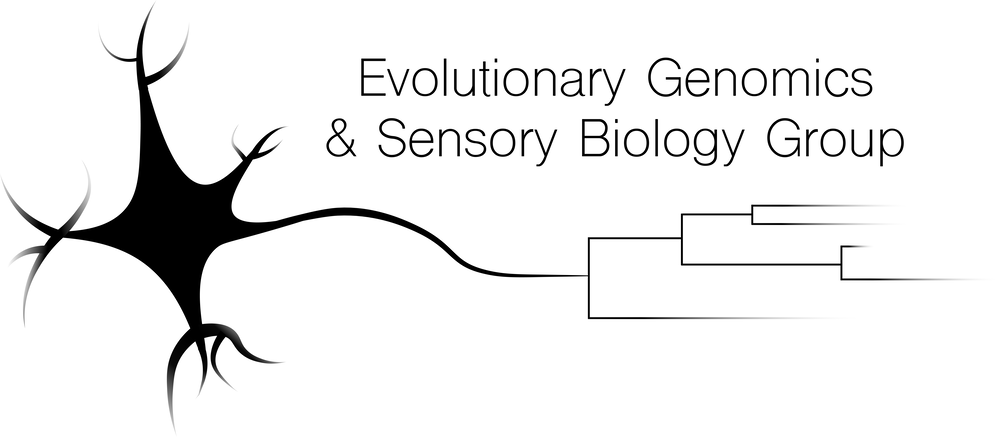 EvoNeuro Lab