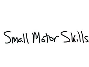 small motor skills