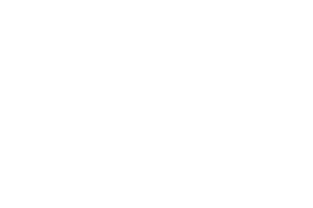 Sabet Brands