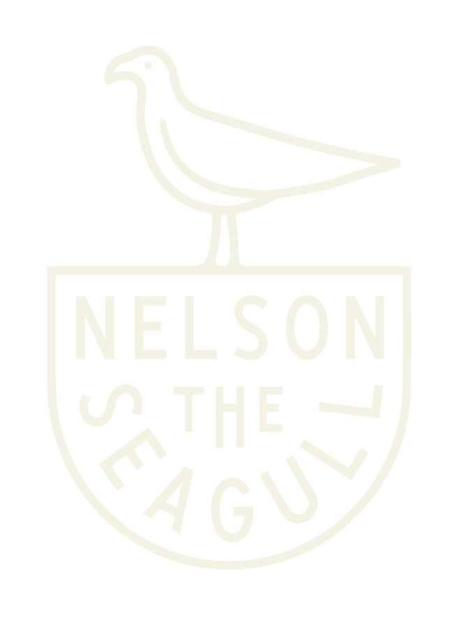 Nelson the Seagull