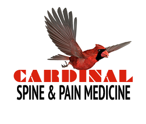 Cardinal spine