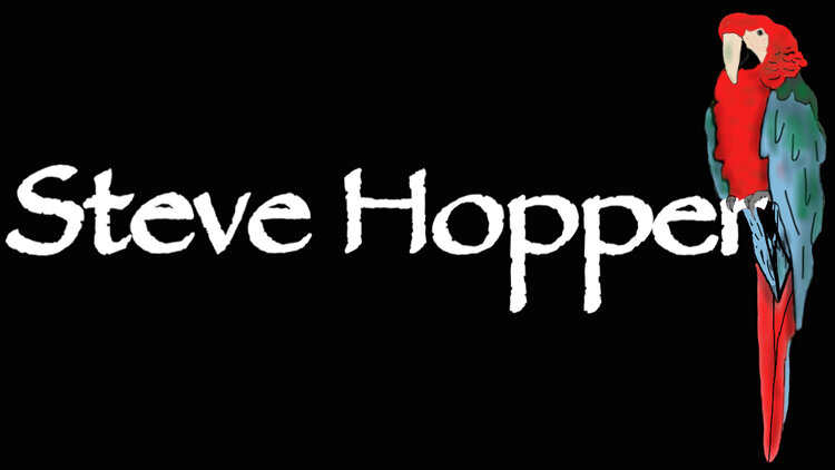 Steve Hopper
