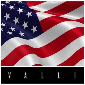 VALLIstore - U.S. Cars Only Since 1991