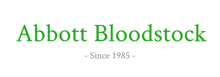 Abbott Bloodstock