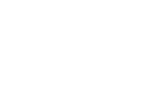Seneb Consulting
