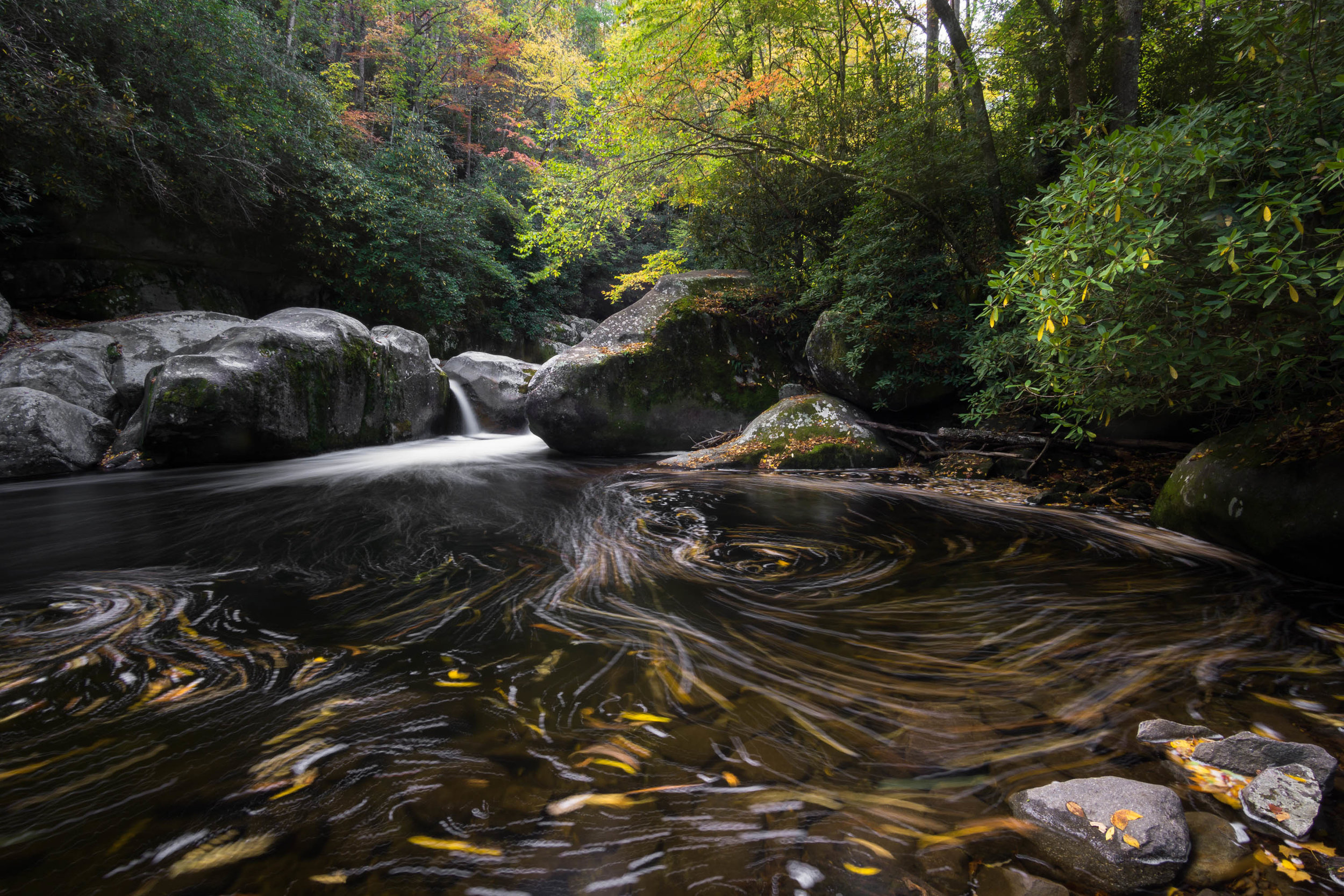 DSC03020-Edit.jpg