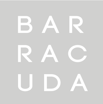 Barracuda Surfboards