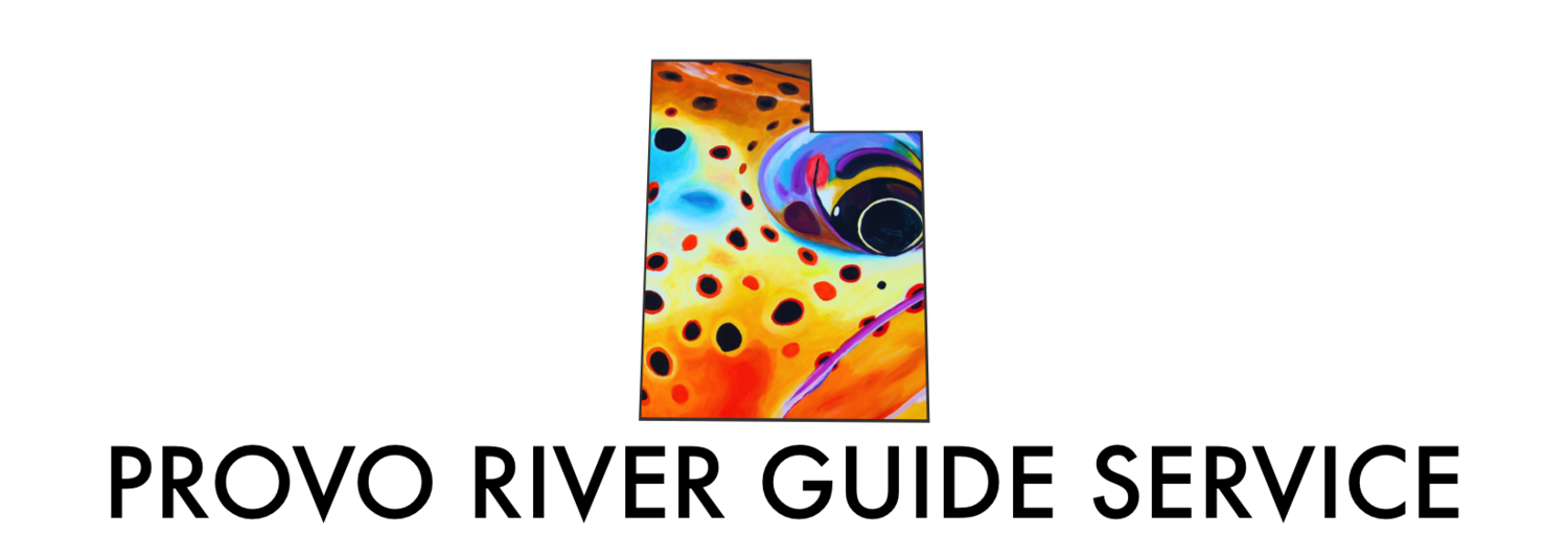 Park City Fly Fishing Guides | Provo River Guide Service