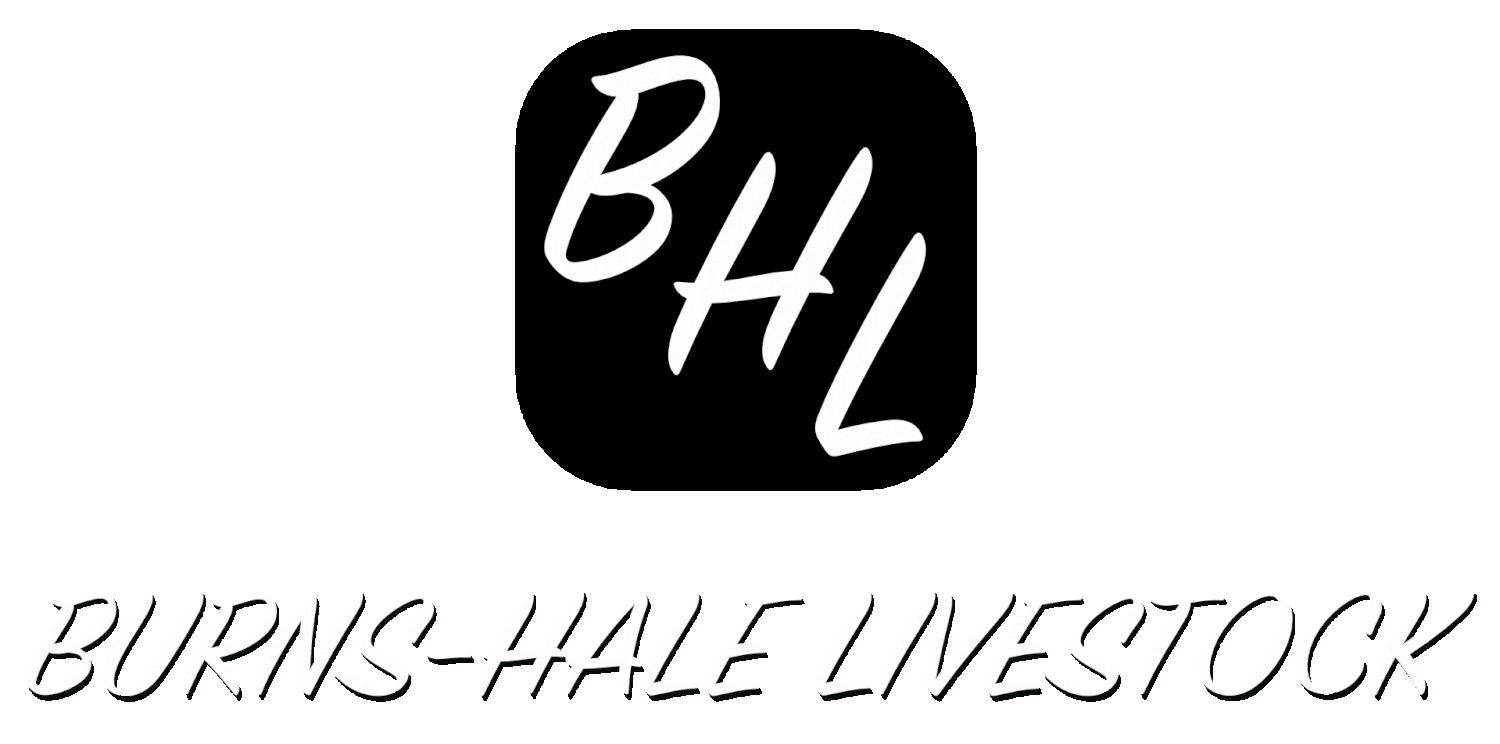 Burns-Hale Livestock