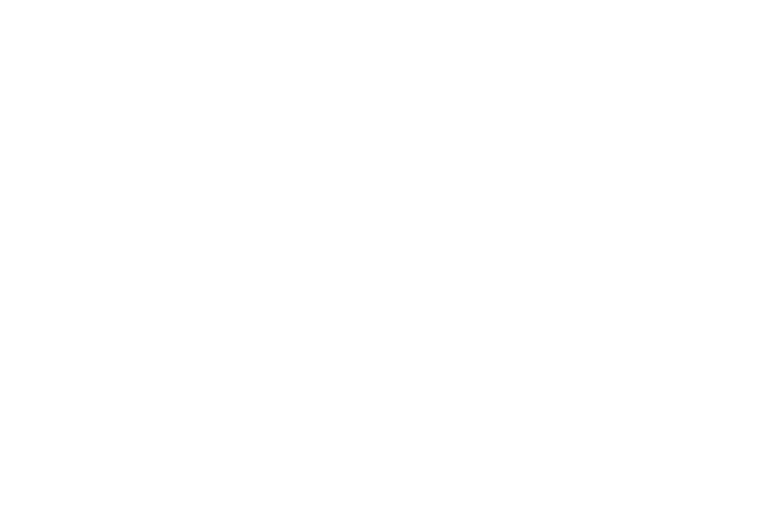 ROOK /  PARTNERS IN BRAND 