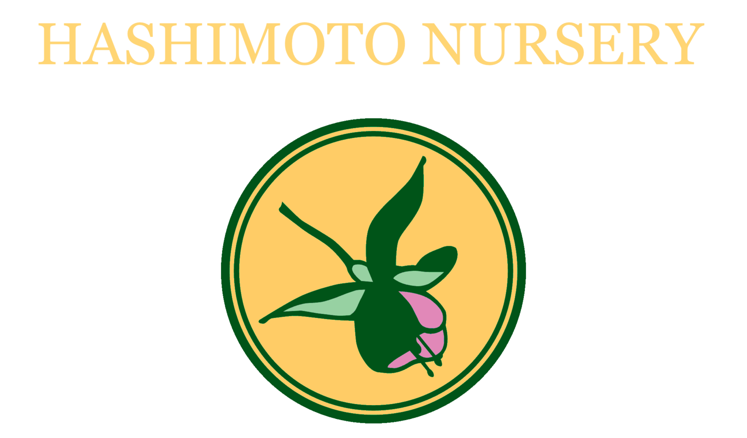 Hashimoto Nursery