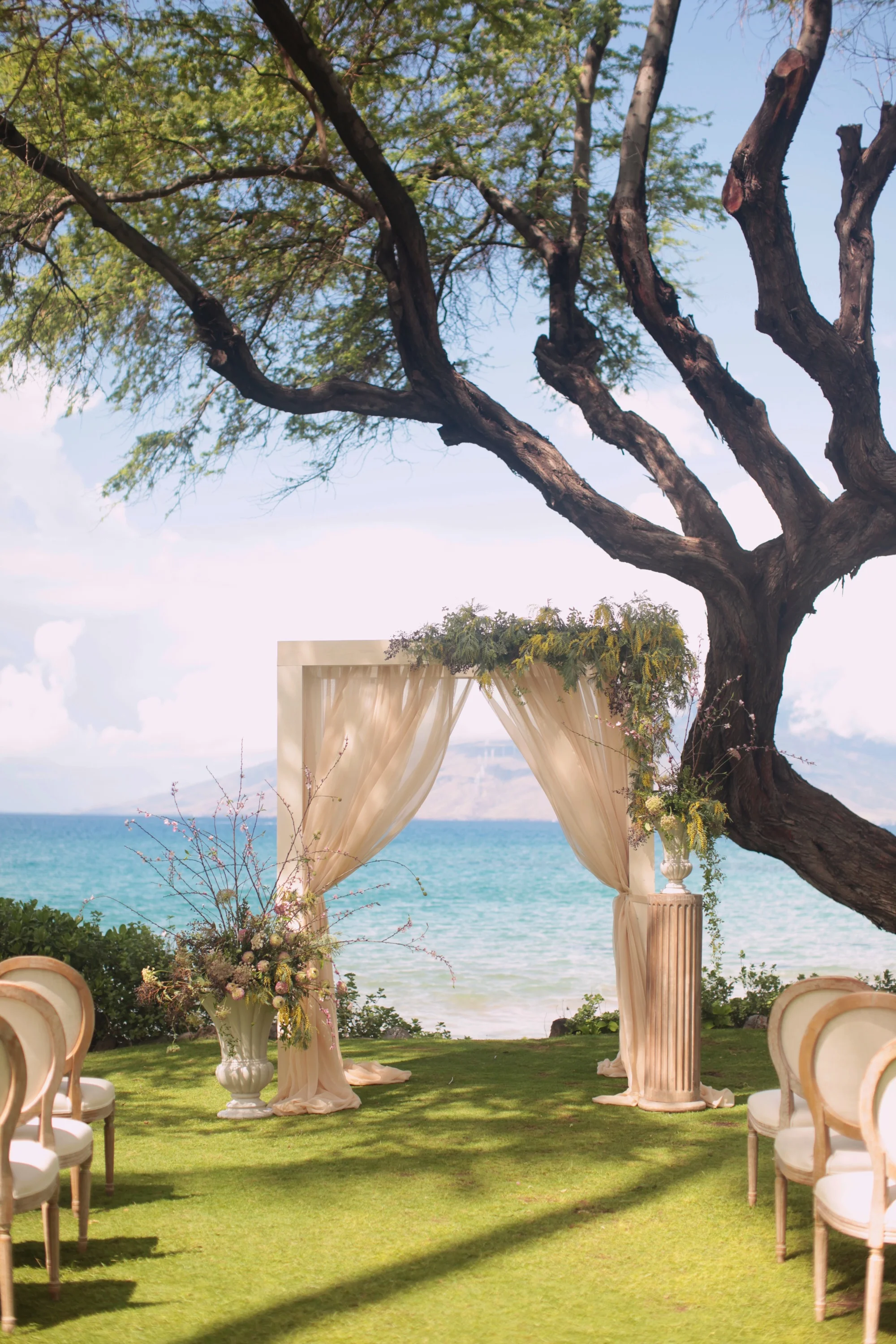 Ivory Wedding Arch Andaz Resort Signature Boutique Event