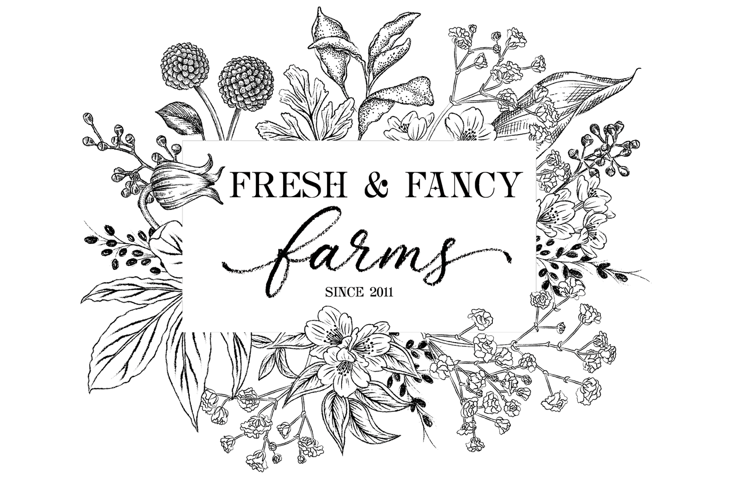 Fresh & Fancy Farms