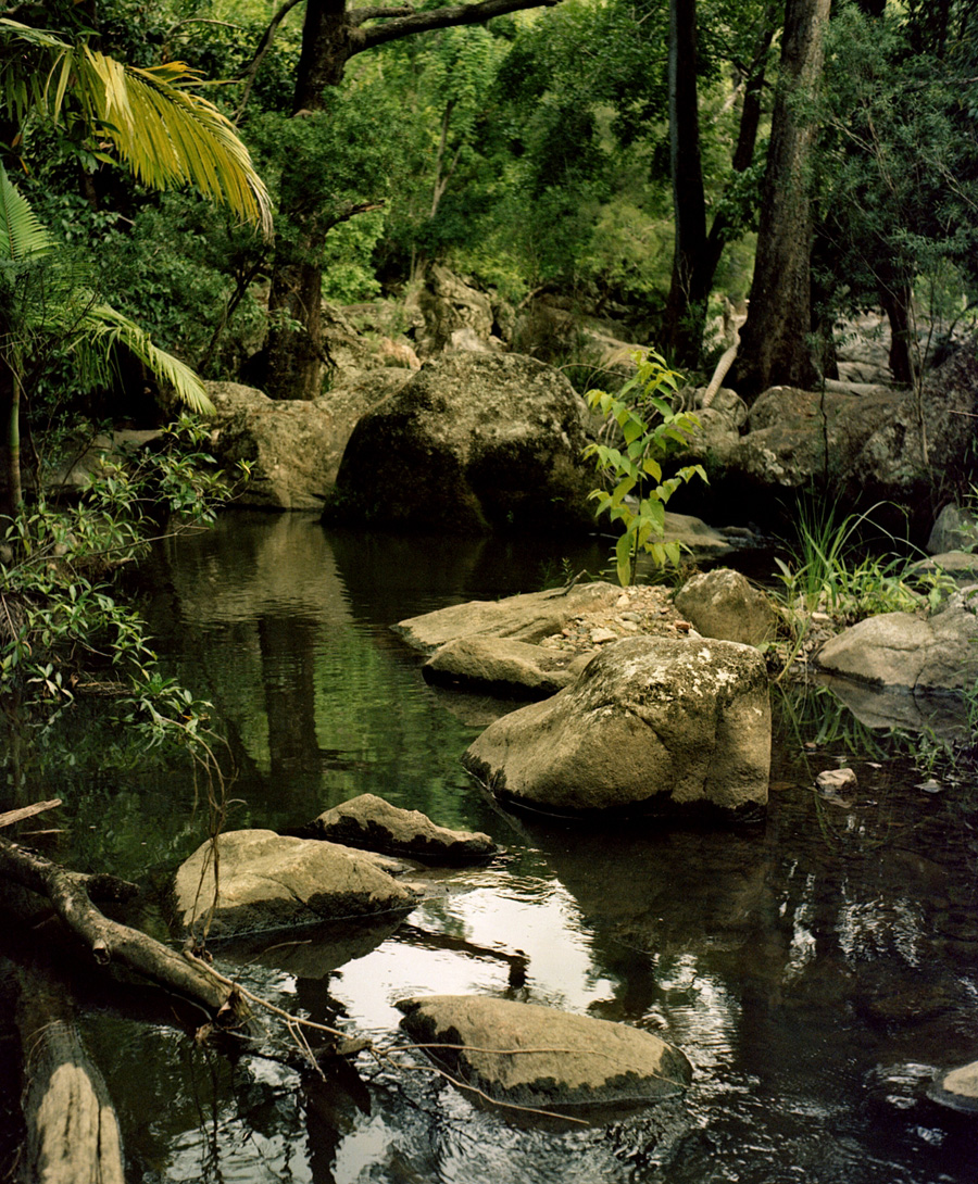 film_photography_255.jpg