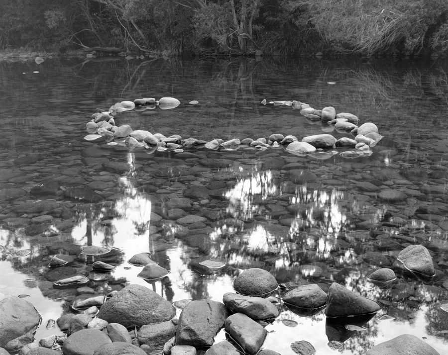 film_photography_259.jpg
