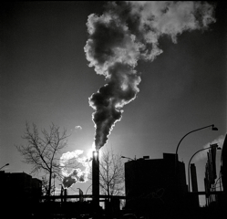 photography_collective_143.png