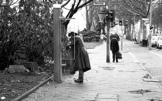 photography_collective_145.png