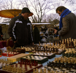 photography_collective_148.png