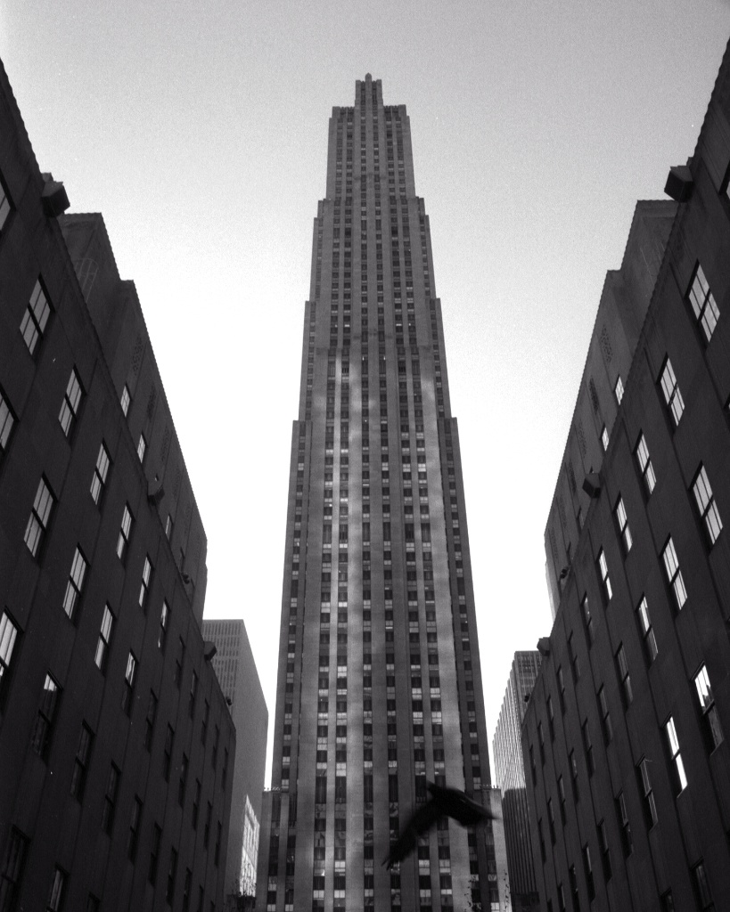 film_photography_5286.jpg