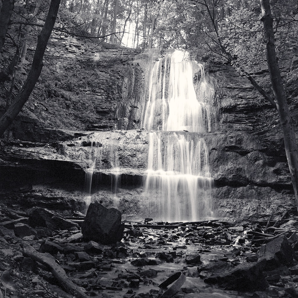 film_photography_5290.jpg