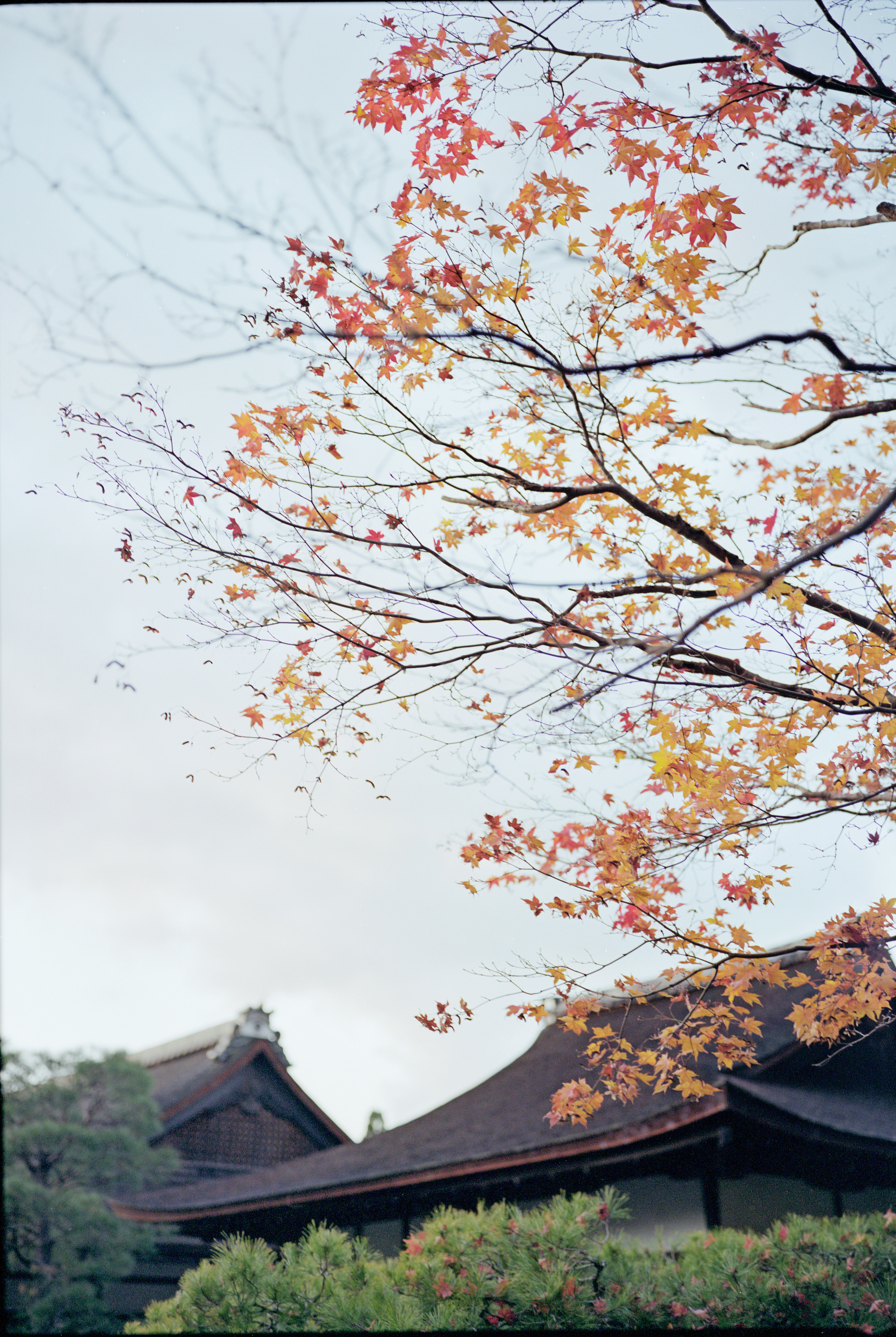富士GW690,柯达Portra 400