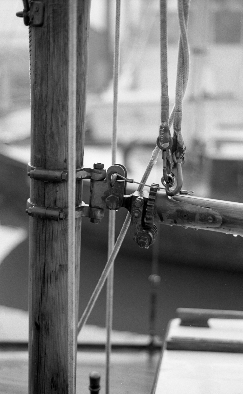 woodenBoat-spxi-400tx-004-1024.jpg